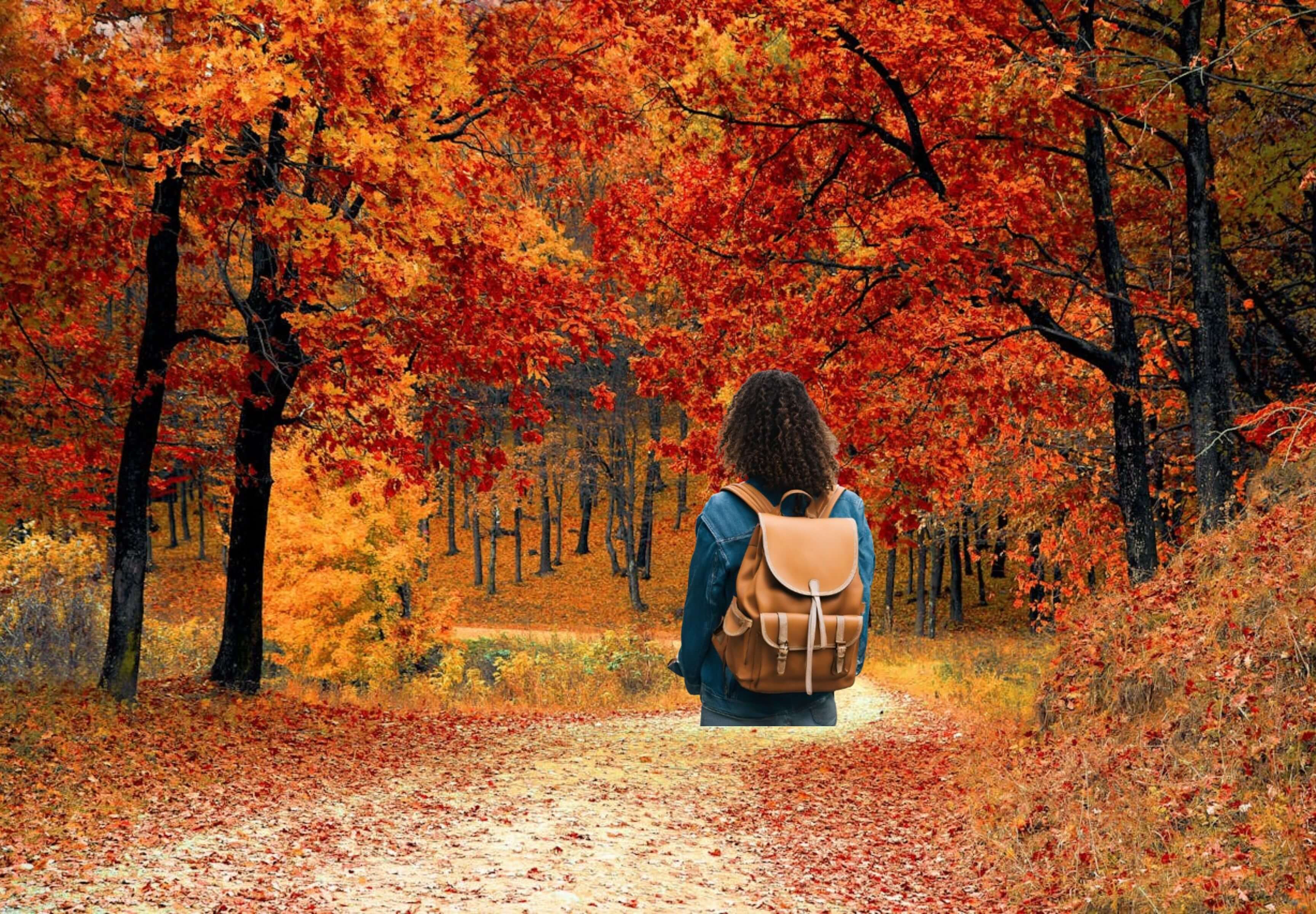 femme se promenant avec un sac à dos spécial automne dans une fôret